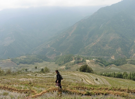 Hiking in Sapa